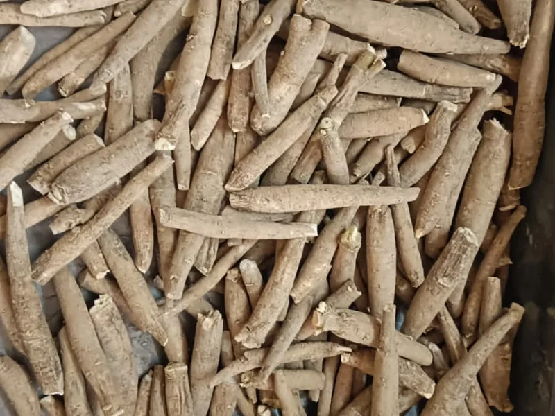Ashwagandha whole root dried — RPM Global Exports