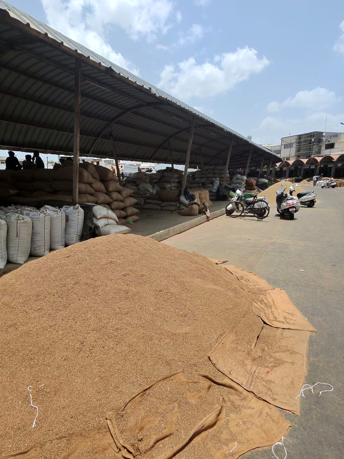 Rudra Jani at Unjha APMC — Asia's largest seed trading market