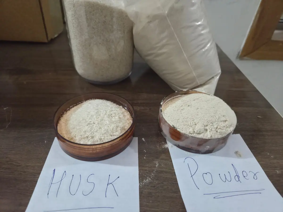 Whole psyllium husk and psyllium husk powder side by side