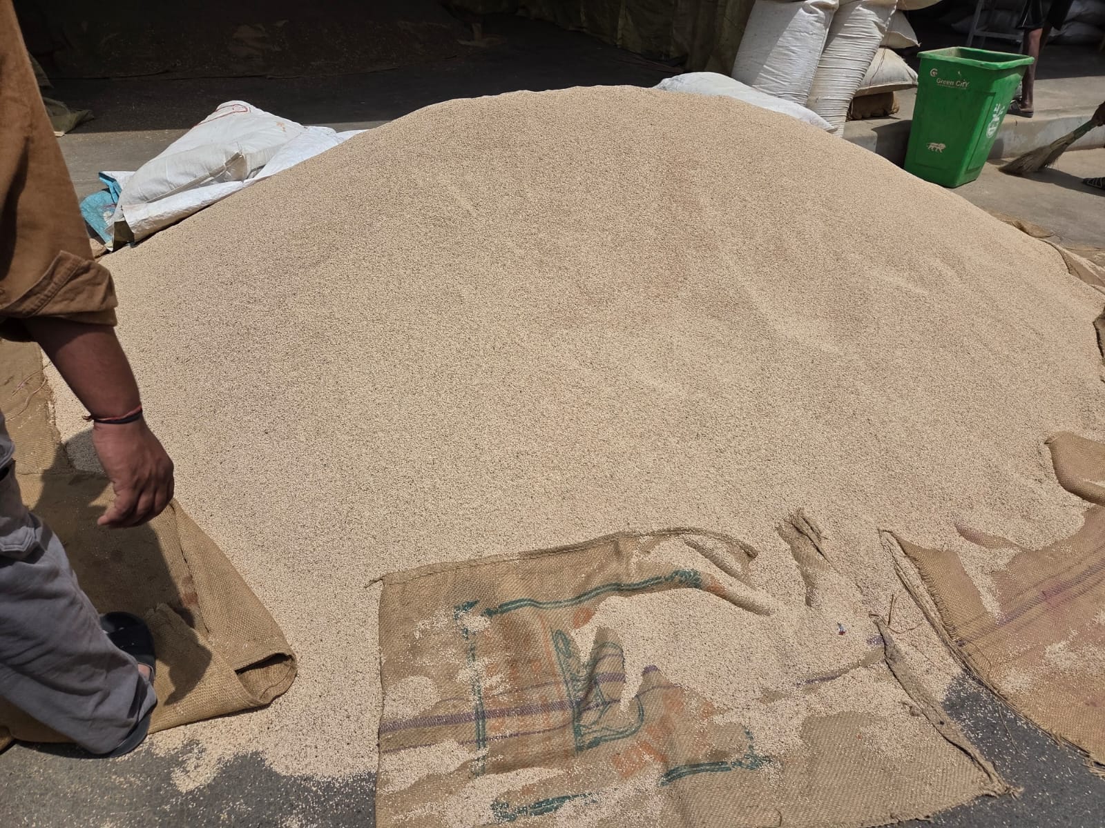 Bulk sesame seeds packaging for export shipment